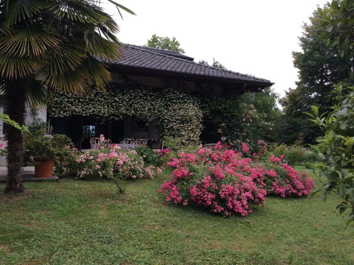 Le Querce Bed & Breakfast Tricesimo ภายนอก รูปภาพ